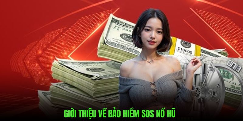 Giới thiệu những nét chính về bảo hiểm sos nổ hũ