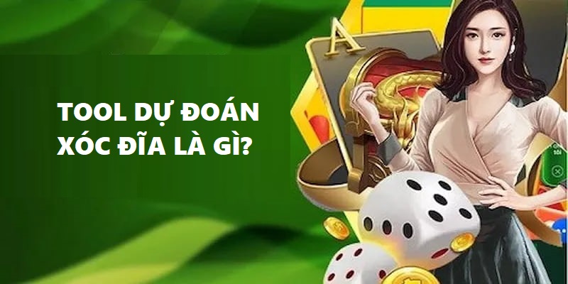 Tool dự đoán xóc đĩa là gì?